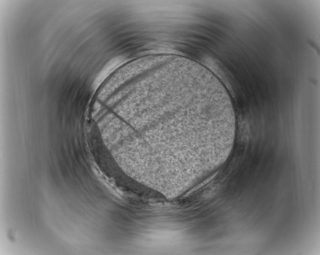 X0000098161002200805151224