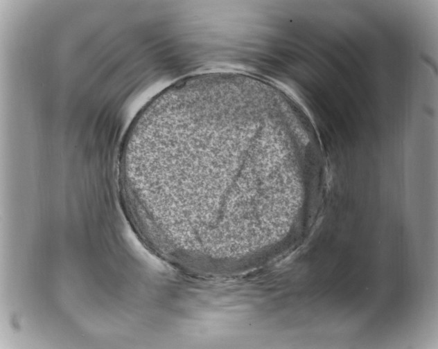 X0000098161003200805151224