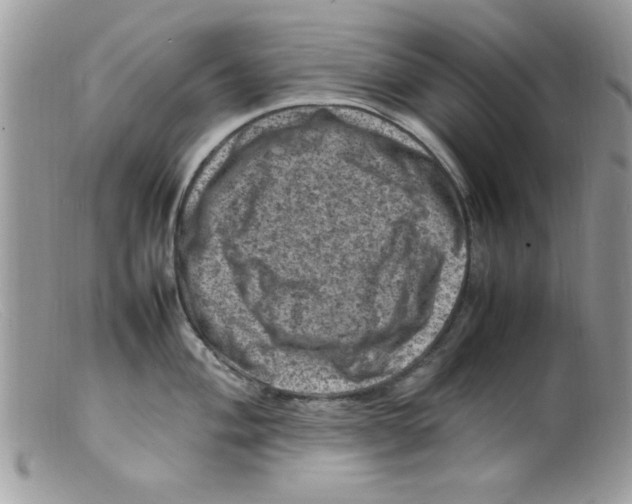 X0000098161004200805151224