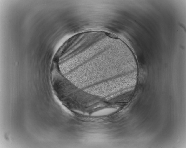 X0000098161005200805151224
