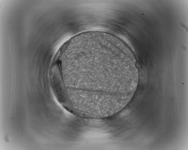 X0000098161007200805151224