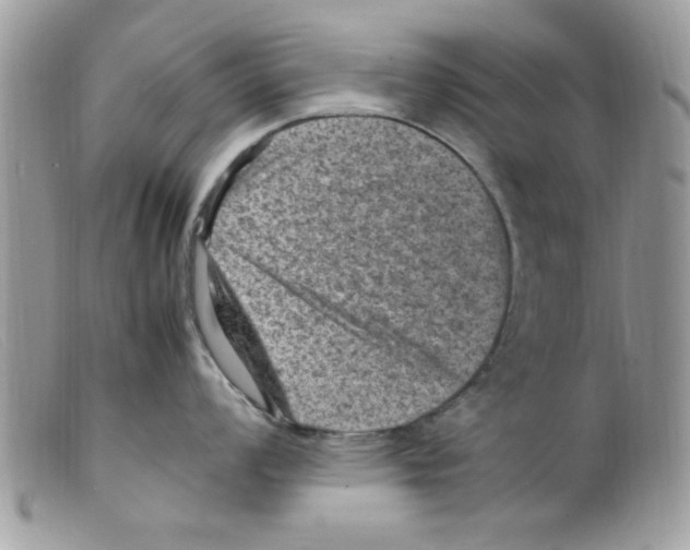 X0000098161008200805151224