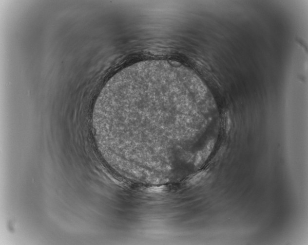 X0000098161009200805151224
