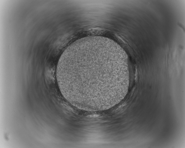 X0000098161010200805151224