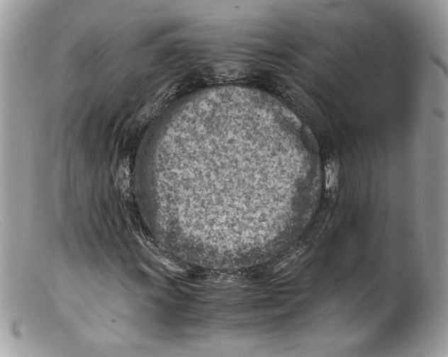 X0000098161011200805151224