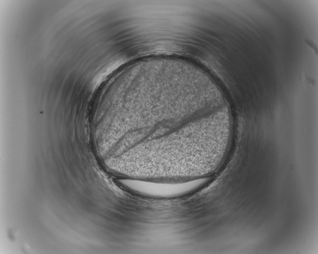 X0000098161018200805151224