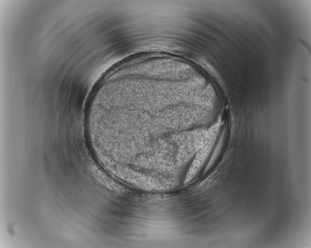 X0000098161020200805151224