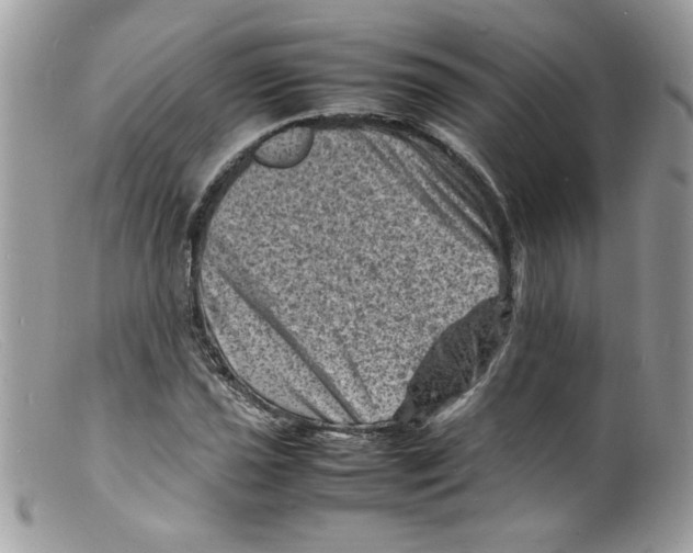 X0000098161021200805151224