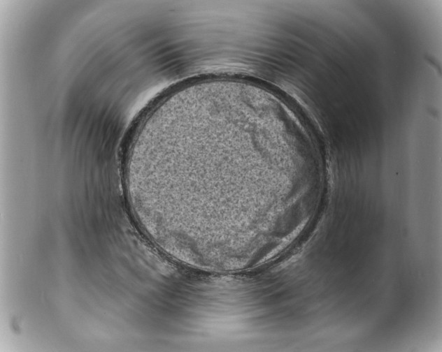 X0000098161022200805151224
