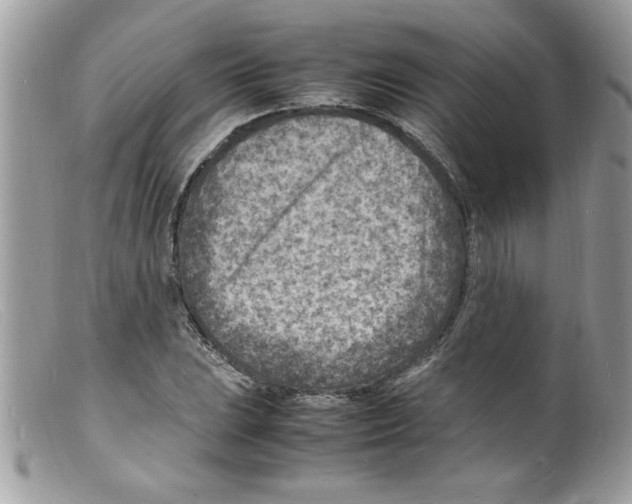 X0000098161023200805151224