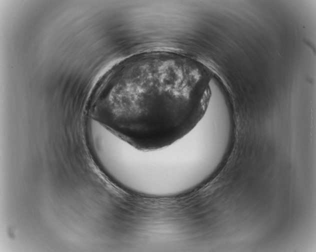 X0000098161024200805151224