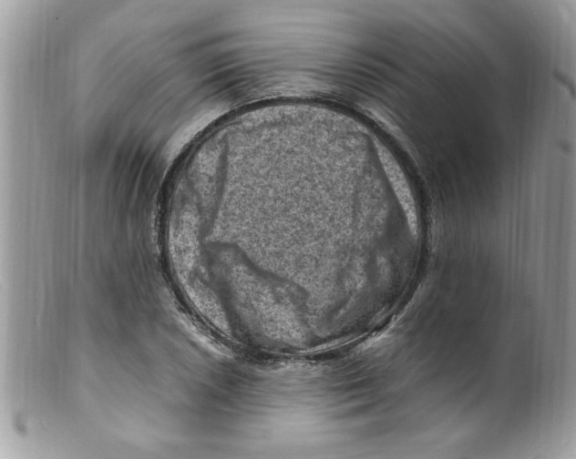 X0000098161026200805151224