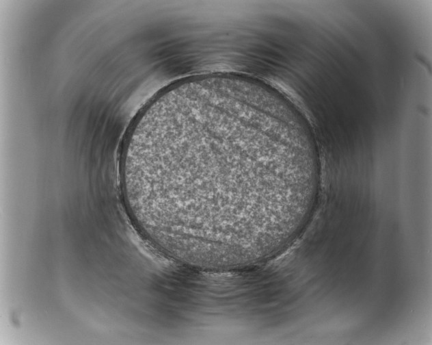 X0000098161031200805151224