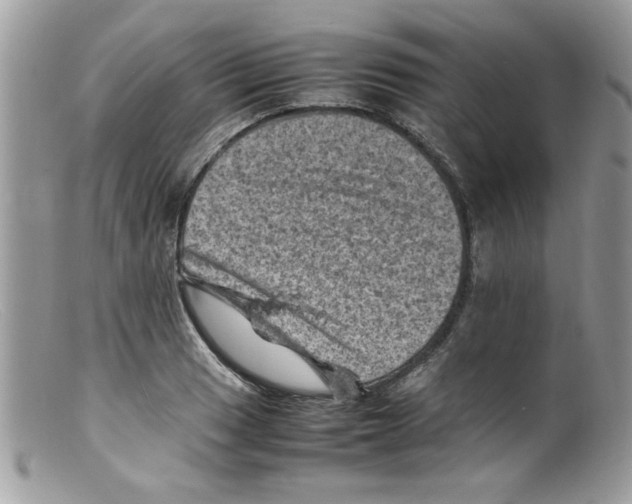 X0000098161033200805151224