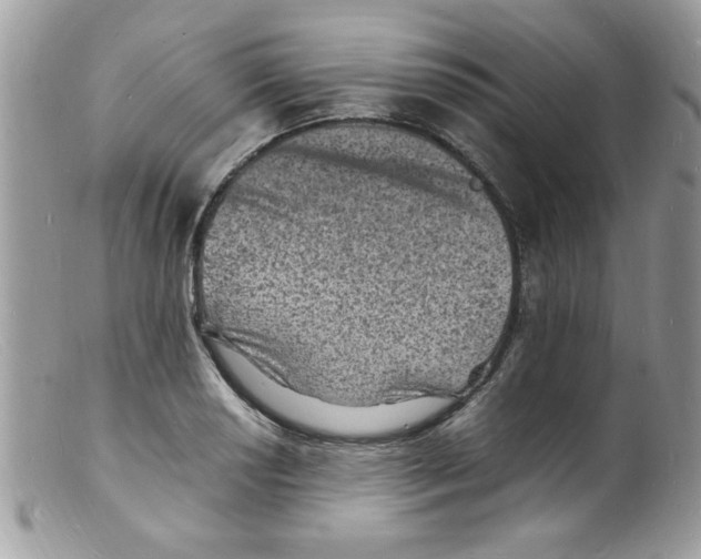 X0000098161034200805151224