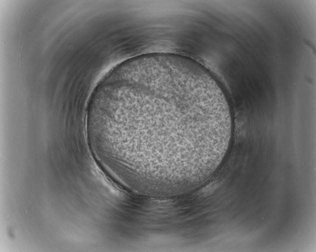 X0000098161035200805151224