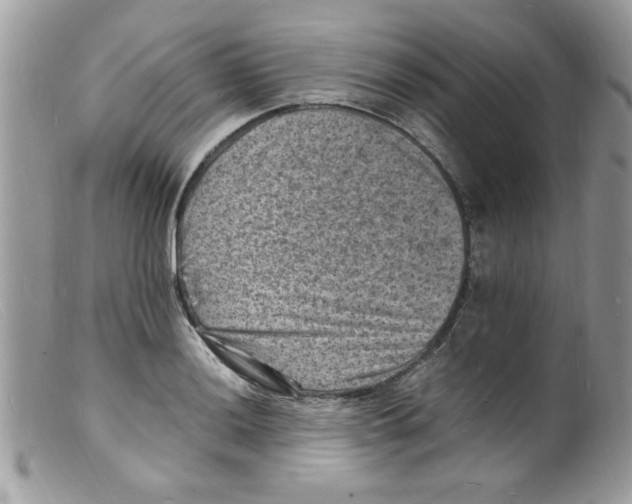 X0000098161036200805151224