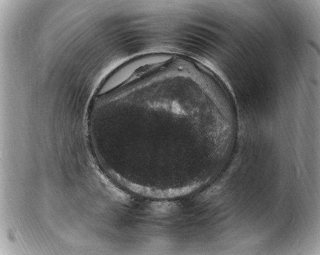X0000098161037200805151224