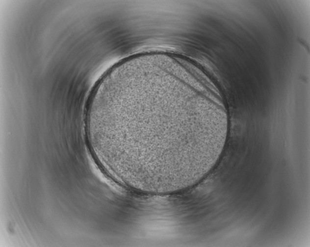 X0000098161038200805151224
