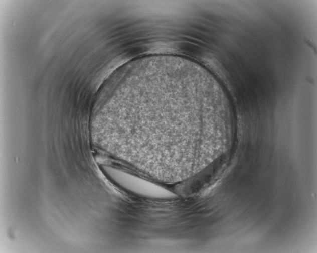 X0000098161041200805151224
