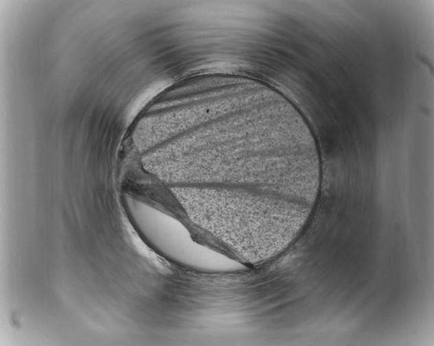 X0000098161042200805151224