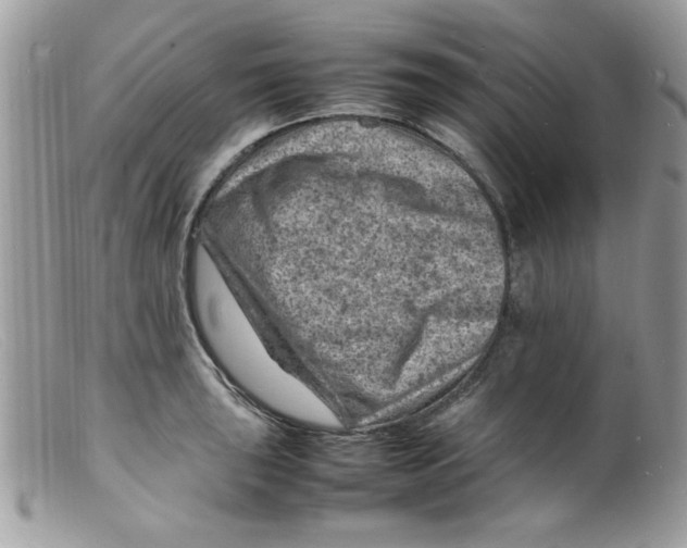 X0000098161043200805151224