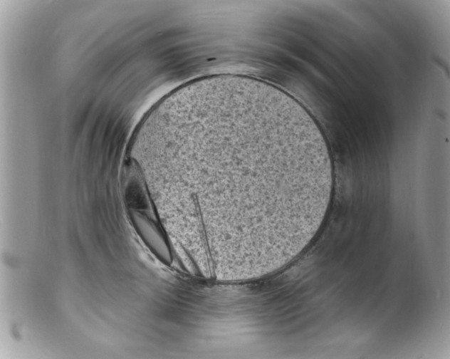 X0000098161044200805151224