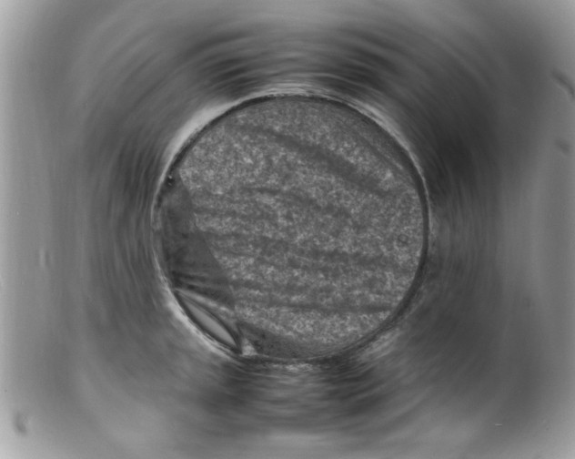 X0000098161045200805151224