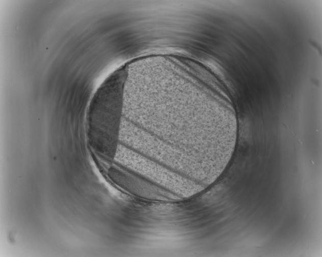X0000098161046200805151224
