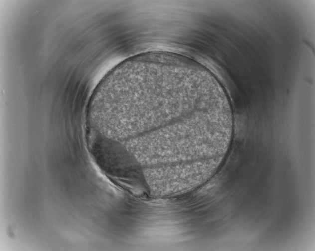 X0000098161048200805151224