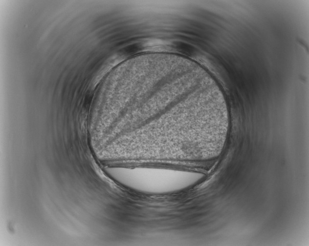 X0000098161049200805151224