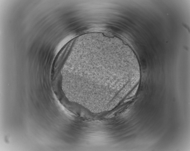 X0000098161050200805151224