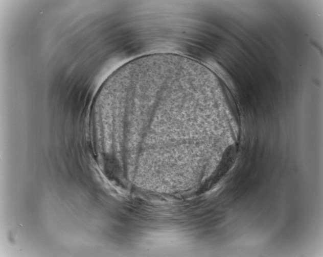 X0000098161052200805151224