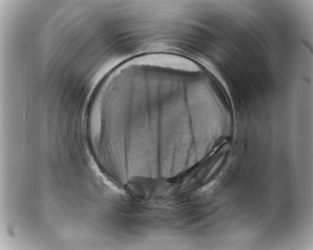 X0000098161053200805151224