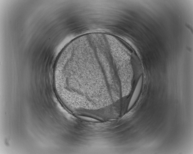 X0000098161054200805151224