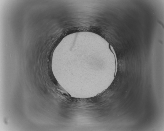 X0000098161057200805151224
