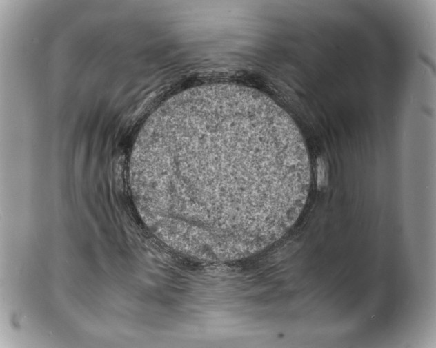 X0000098161059200805151224
