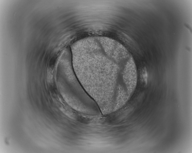 X0000098161060200805151224