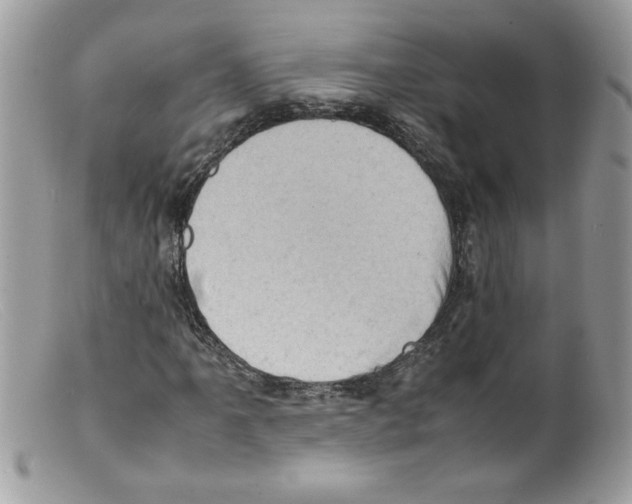 X0000098161061200805151224