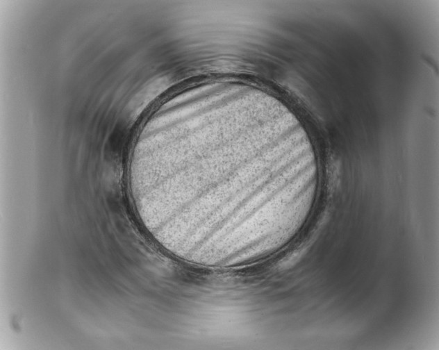 X0000098161065200805151224