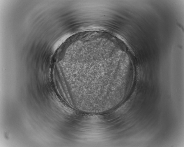 X0000098161066200805151224