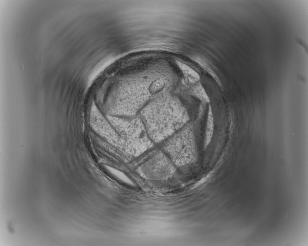 X0000098161069200805151223