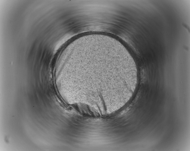 X0000098161070200805151223