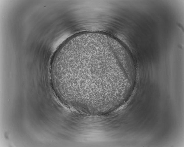 X0000098161071200805151223