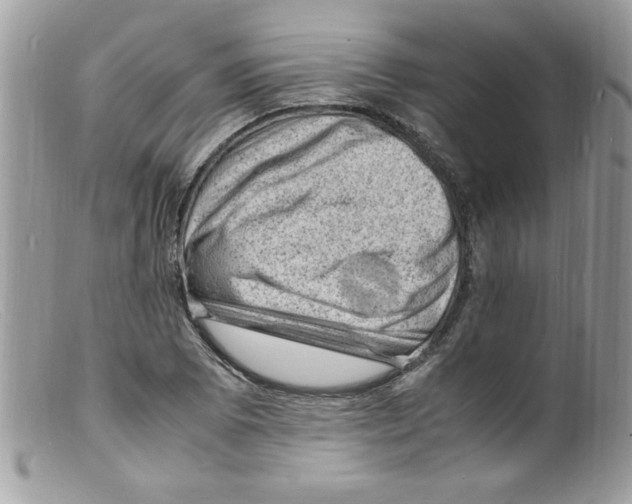 X0000098161073200805151223