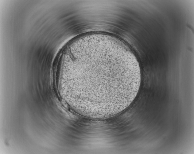 X0000098161076200805151223