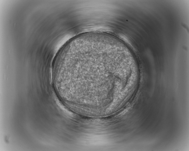 X0000098161079200805151223