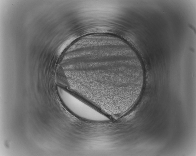 X0000098161081200805151223