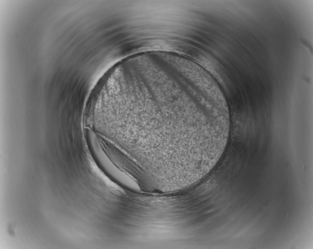 X0000098161084200805151223