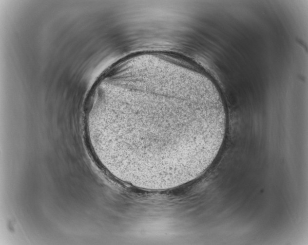 X0000098161085200805151223